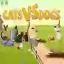 Cats VS Dogs